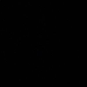 Meet your Posher, Parker